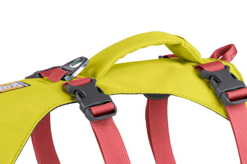 Ruffwear Flagline Dog Harness in Lichen Green-5